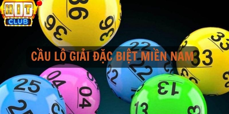 Giới thiệu tổng quan nhất về cầu lô giải đặc biệt miền Nam